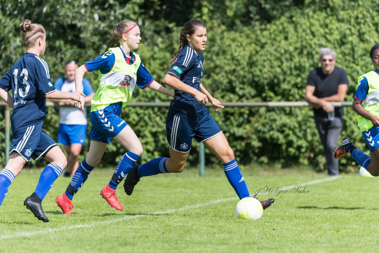 Bild 259 - B-Juniorinnen VfL Pinneberg - HSV : Ergebnis: 1:4